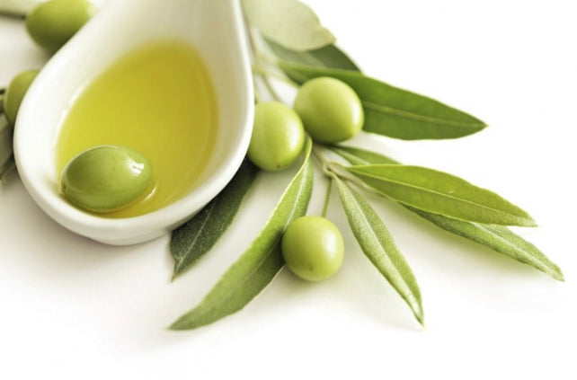 Find Your Feel Good - Benefits of Olive Leaf Extract