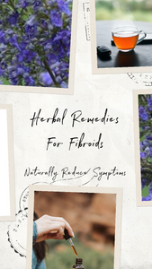 Herbs For Fibroids - Agnus Castus - Chaste berry