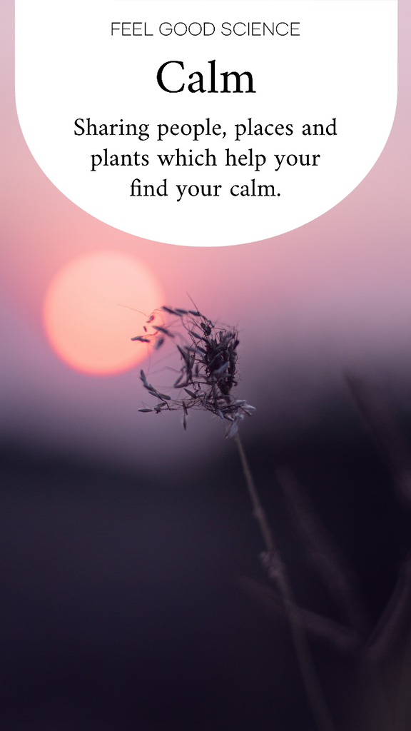 Find your Feel Good - CALM