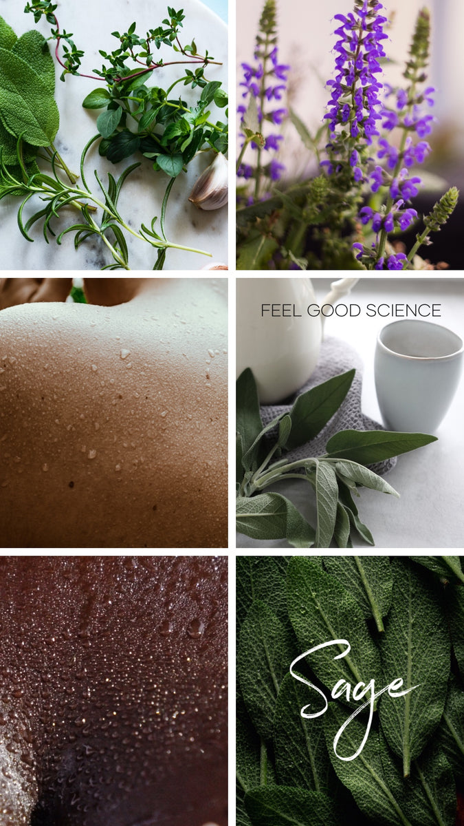 Sage The Best Herb for Excessive Sweating, Hot Flushes, and Menopausa