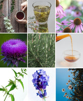 Super-Plant Powered Cleanse And Detox Tea With Organic Dandelion And Milk Thistle